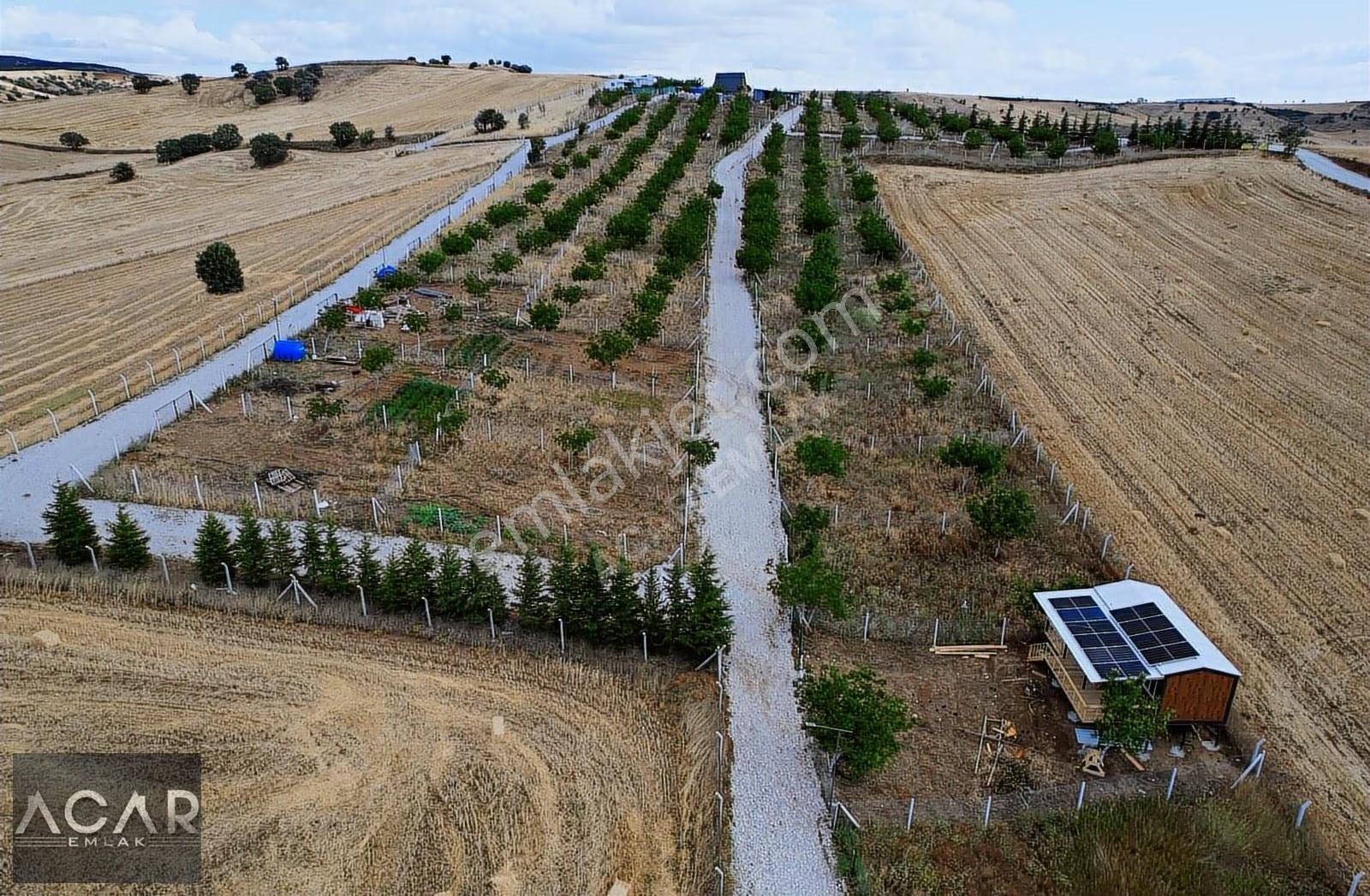 Akyurt'ta , E-devletli, 250 M2, Ceviz Ağaçlı, Sulu , Kameralı - Görsel 12