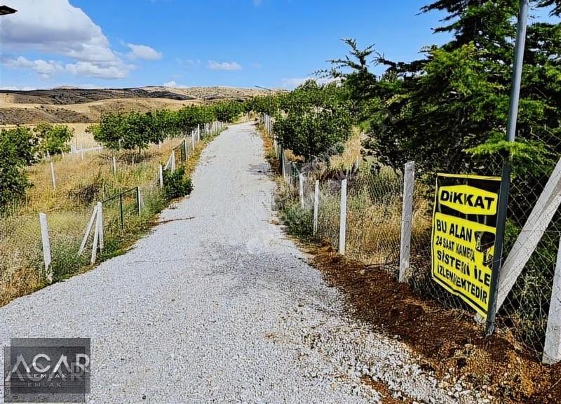 Akyurt'ta , E-devletli, 250 M2, Ceviz Ağaçlı, Sulu , Kameralı - Görsel 10