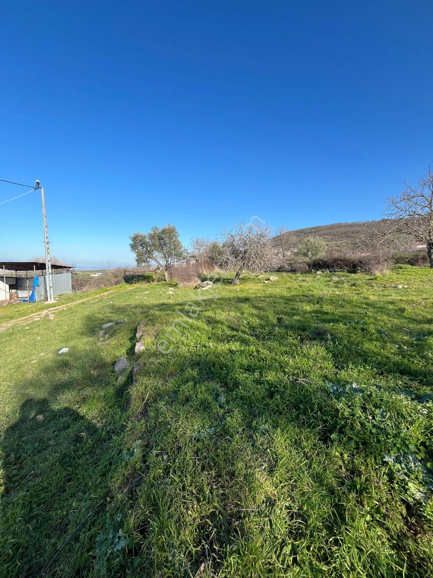 Balıkesir Gönen Kınalar Köyünde 800 M2 Arsa - Görsel 23