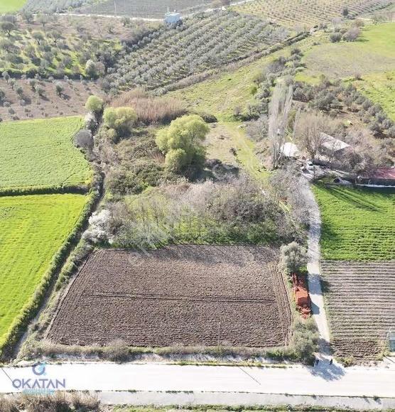 Üçpınar Mh. Ne Araçla Bir Dk Mesafede 11 Dönüm Tarla - Görsel 2