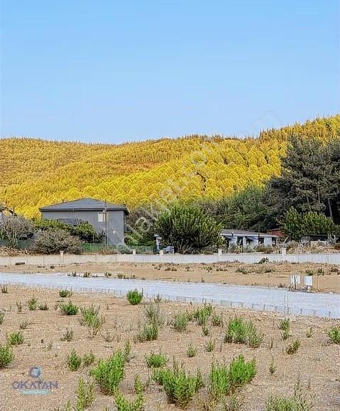 Seferihisar Da Denize Yakın Sarı Alanda Arazi 971 M2 - Görsel 5