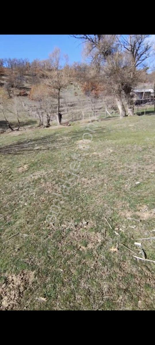 Acill, Erenkaya Kızılyerde Dereye Ve Yola Yakın Hesaplı Bahçelik - Görsel 5