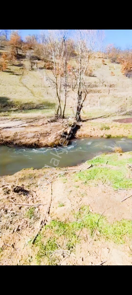 Acill, Erenkaya Kızılyerde Dereye Ve Yola Yakın Hesaplı Bahçelik - Görsel 7