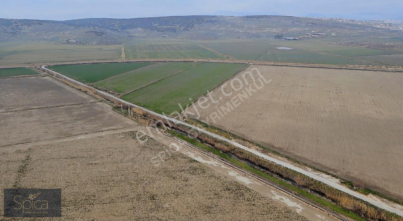 Menemen Seyrek 22.906 M² 2 Cephe Yol Satılık Tarla - Görsel 4