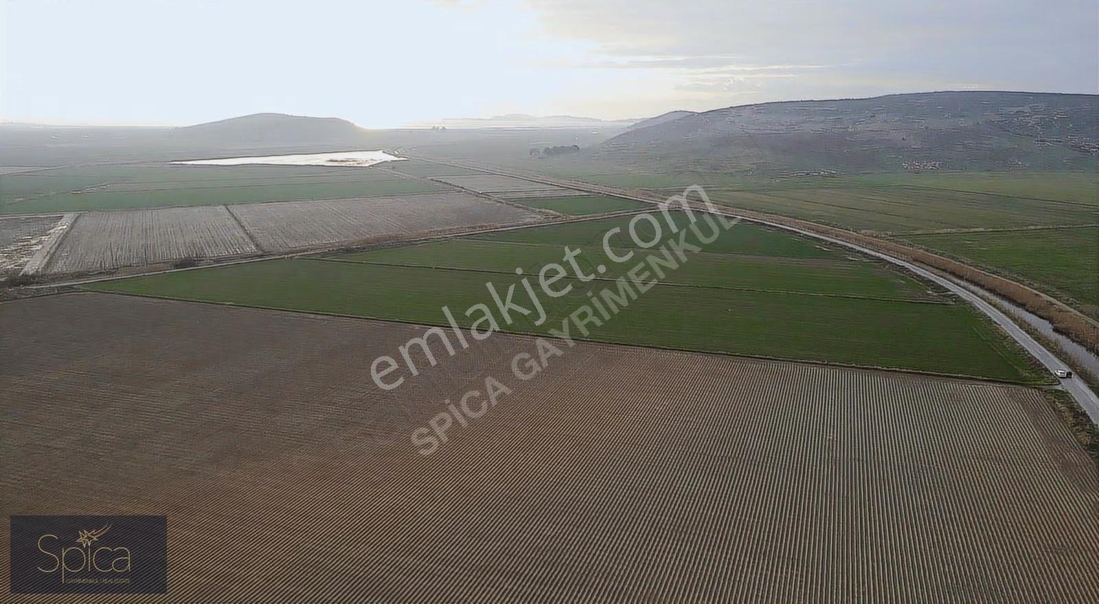 Menemen Seyrek 22.906 M² 2 Cephe Yol Satılık Tarla - Görsel 2