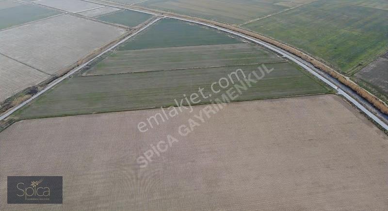 Menemen Seyrek 22.906 M² 2 Cephe Yol Satılık Tarla - Görsel 5