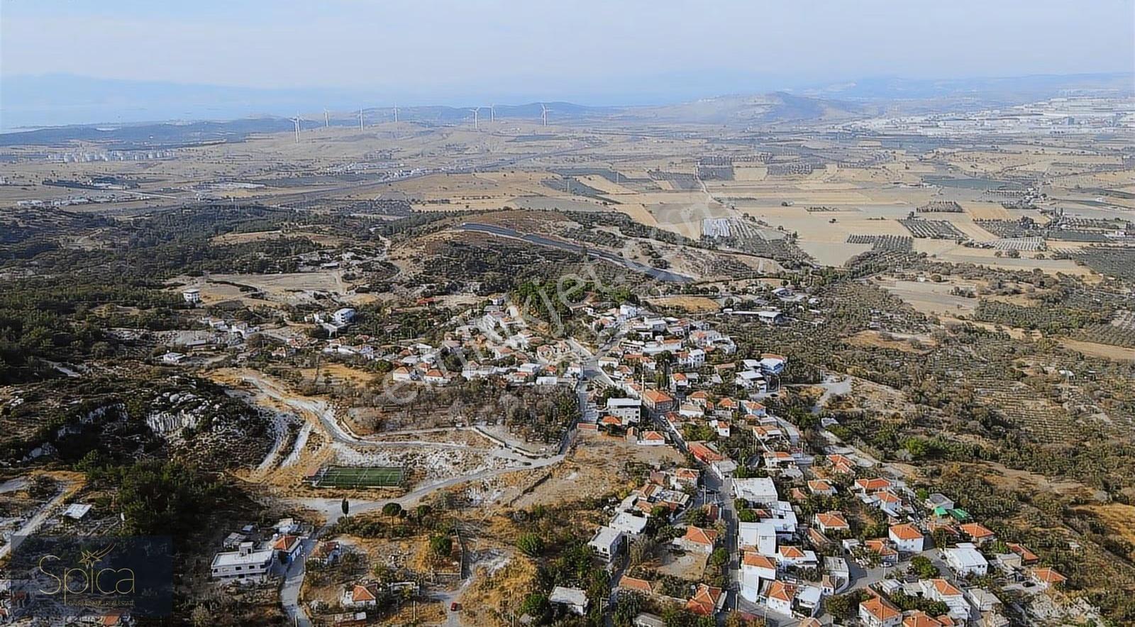 İzmir Aliağa Güzelhisar Satılık Zeytinli Bahçe - Görsel 2