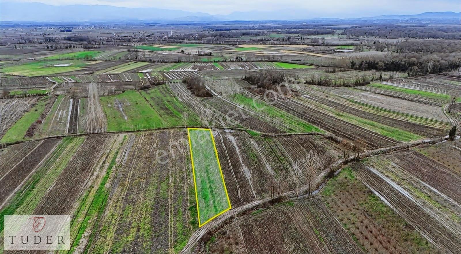 Hendek Paşaköyde Ana Yola Yakın 2.850 M² Düz Ve Geniş Tarla - Görsel 12