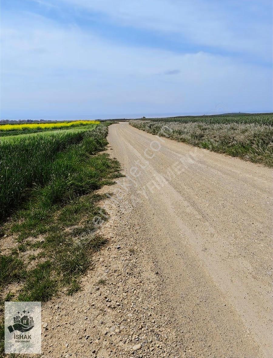 Tekirdağ Marmaraereğlisi Çeşmelide 278,9 Hisseli Tapularımız