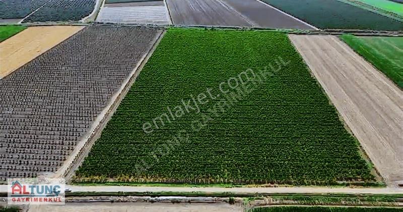 Satılık 81.535m² Patagonia Nektarin Bahçesi - Yatırım Fırsatı