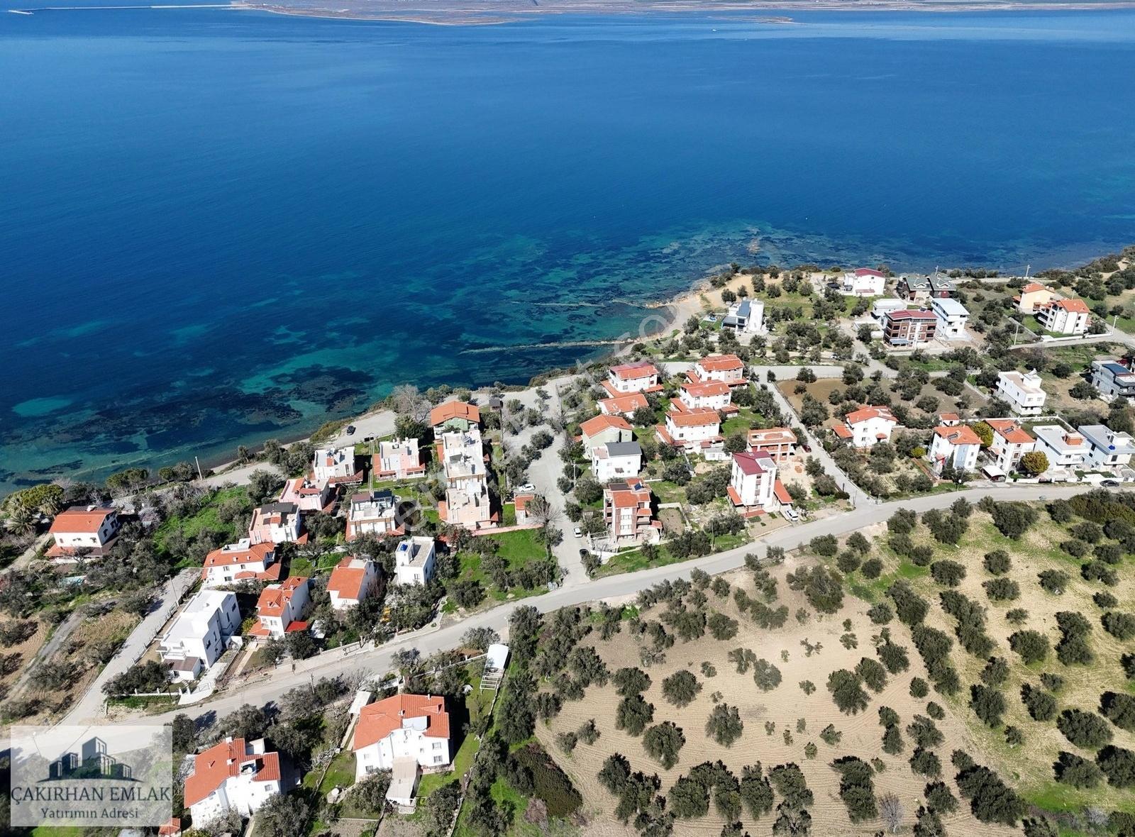 Yenişakran Da, Denize, Göle Ve İmar Yakını Satılık Zeytinlik - Görsel 18