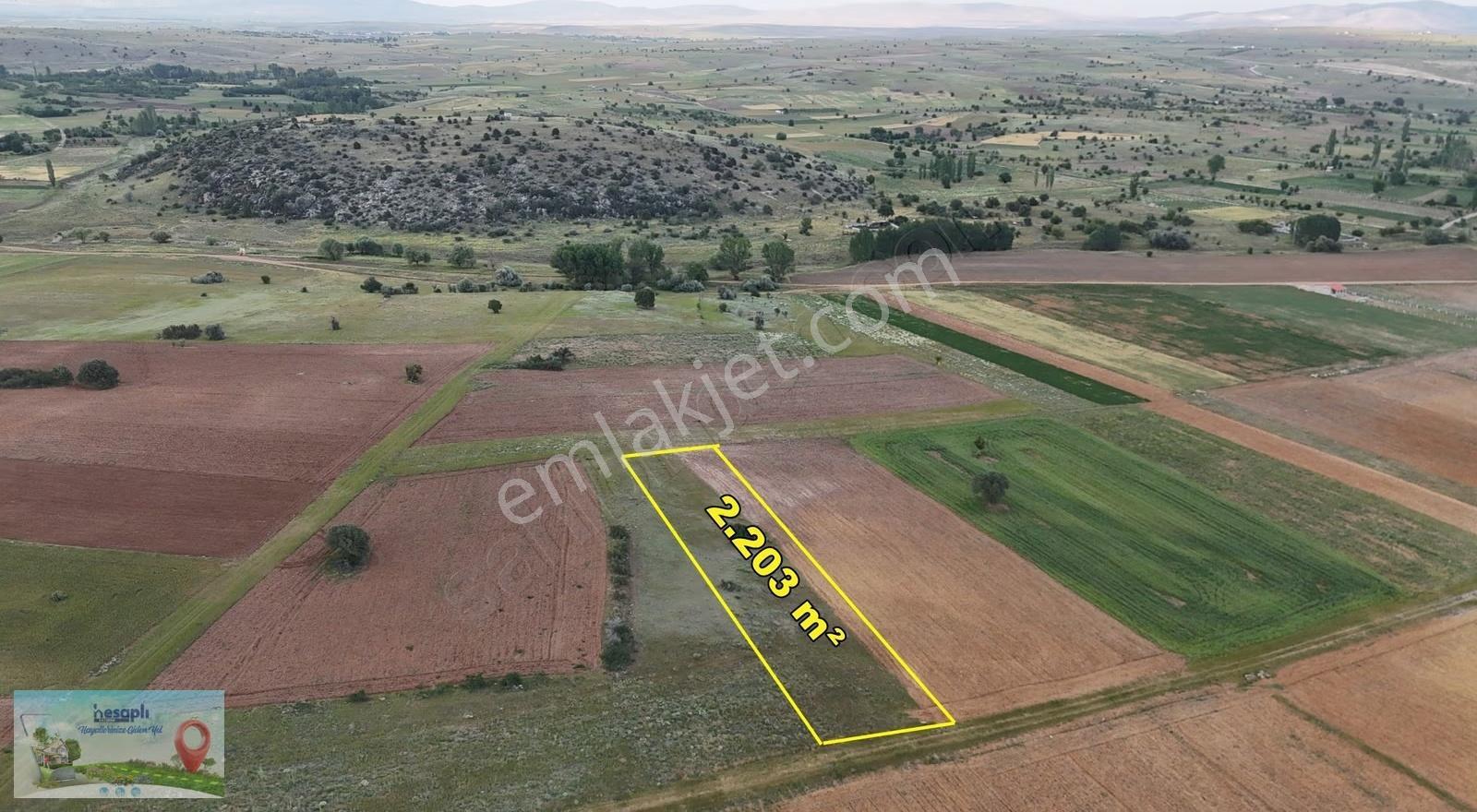 Akören Tülcede Yola Yakın 2.203 M² Müstakil Tapulu Tarla - Görsel 4