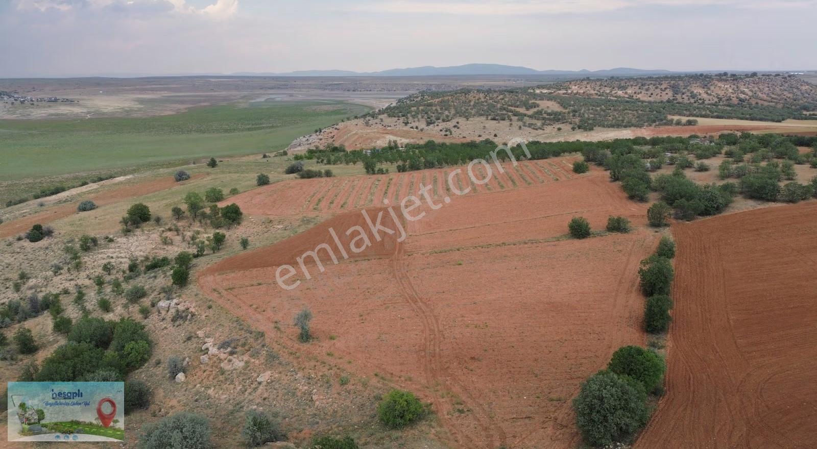 Çumra Apasaraycıkta 2.095 M² Müstakil Tapulu Tarla - Görsel 5