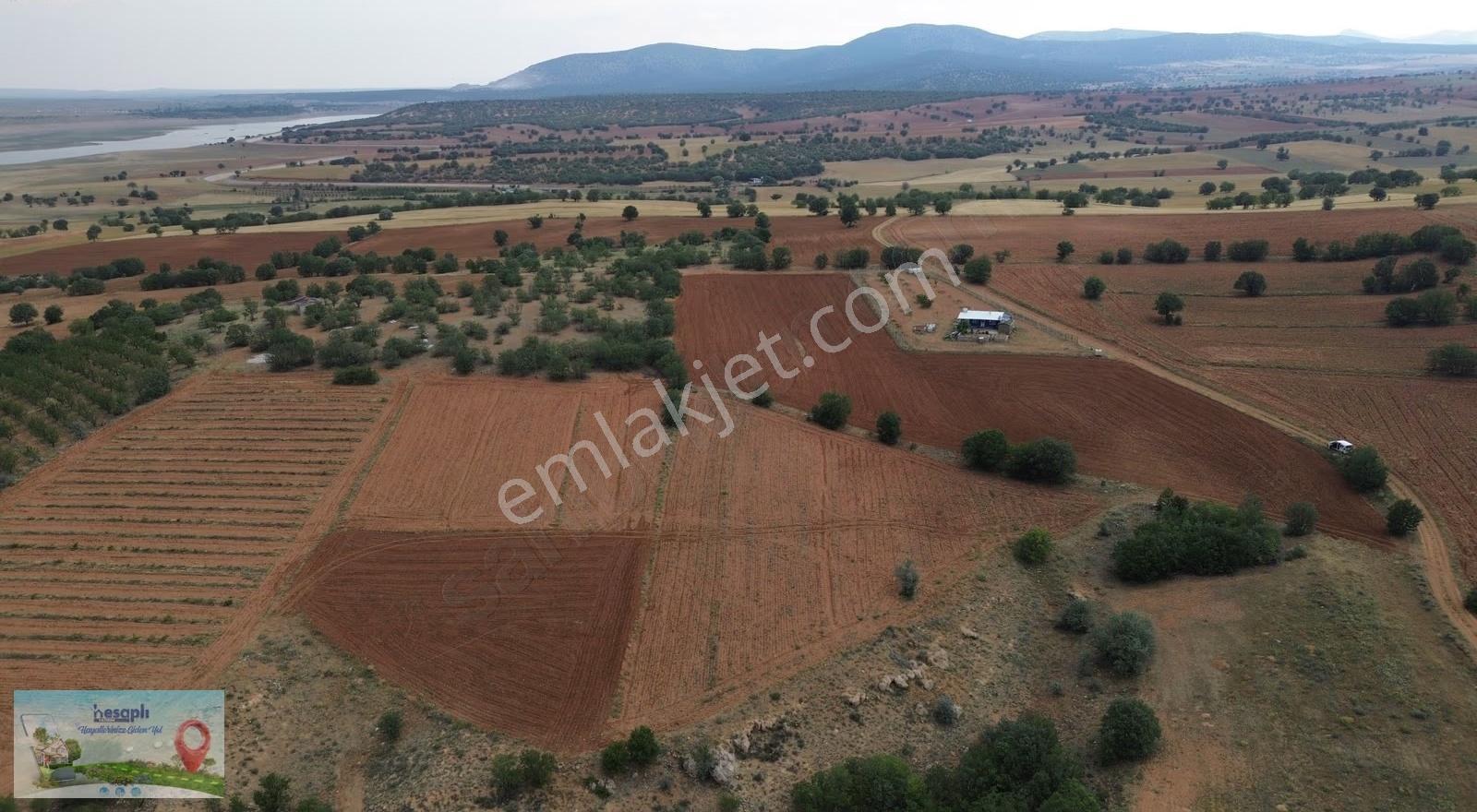 Çumra Apasaraycıkta 2.095 M² Müstakil Tapulu Tarla - Görsel 2