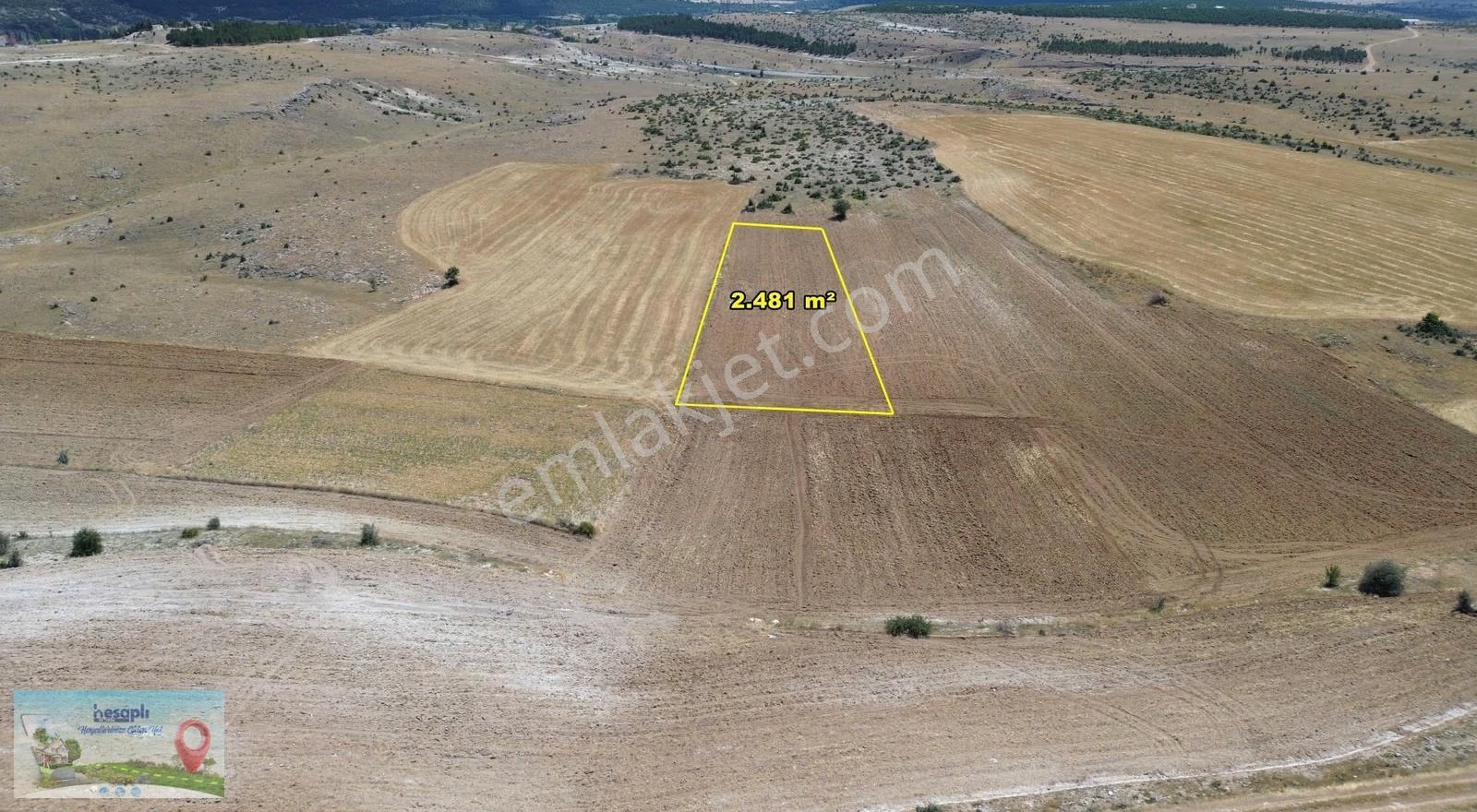 Beyşehir Yenidoğan Derebağda 2.481 M² Müstakil Tapulu Tarla - Görsel 5