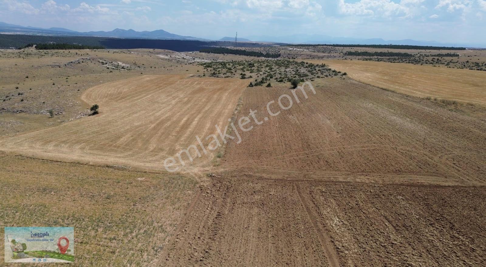 Beyşehir Yenidoğan Derebağda 2.481 M² Müstakil Tapulu Tarla - Görsel 4