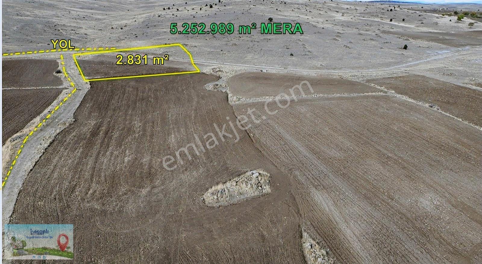 Akören Çatörende 2.831 M² Müstakil Tapulu Tarla