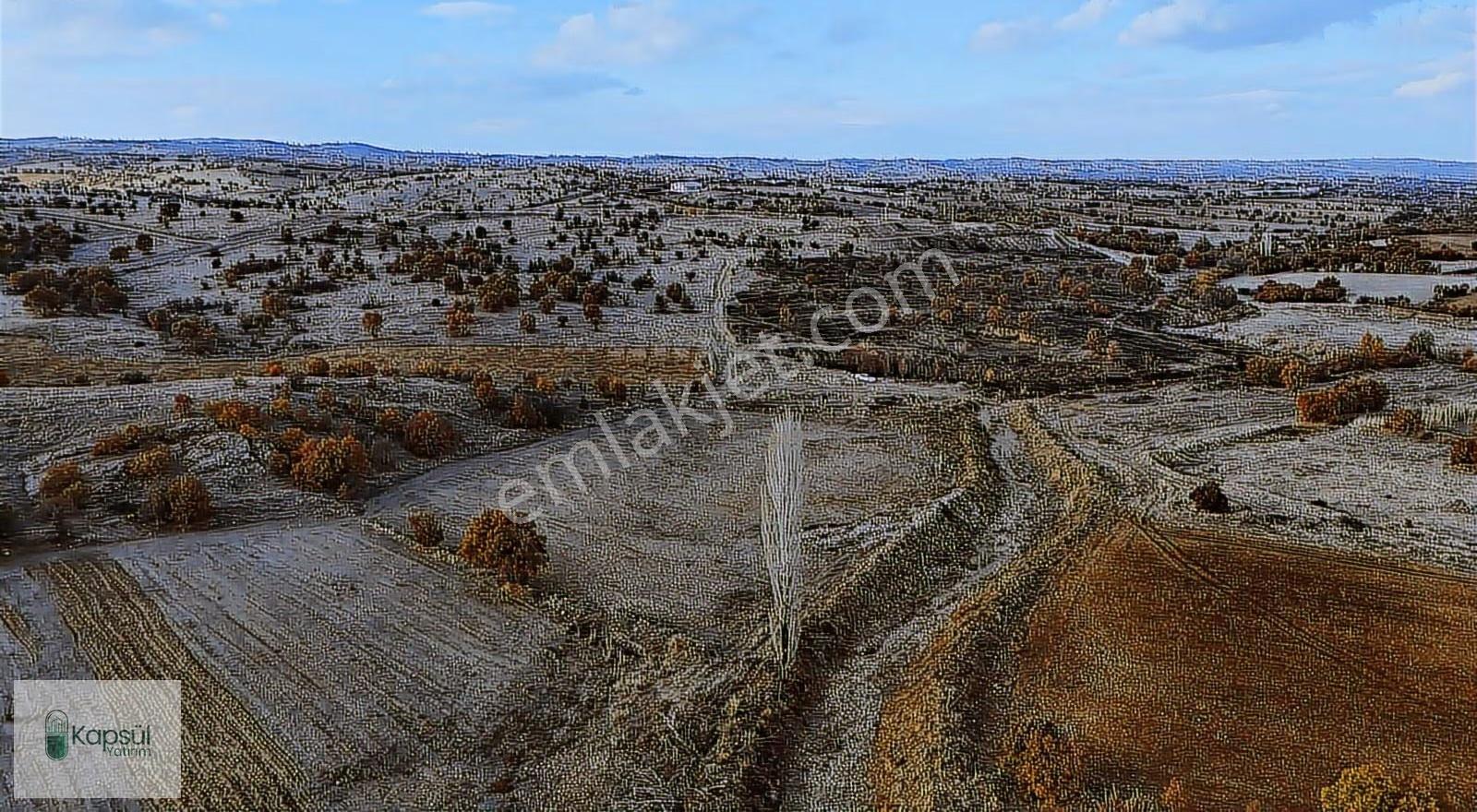 Uşak / Eşme / Dereköy Mahallesinde 2.400 M² Hisseli Tarla - Görsel 21