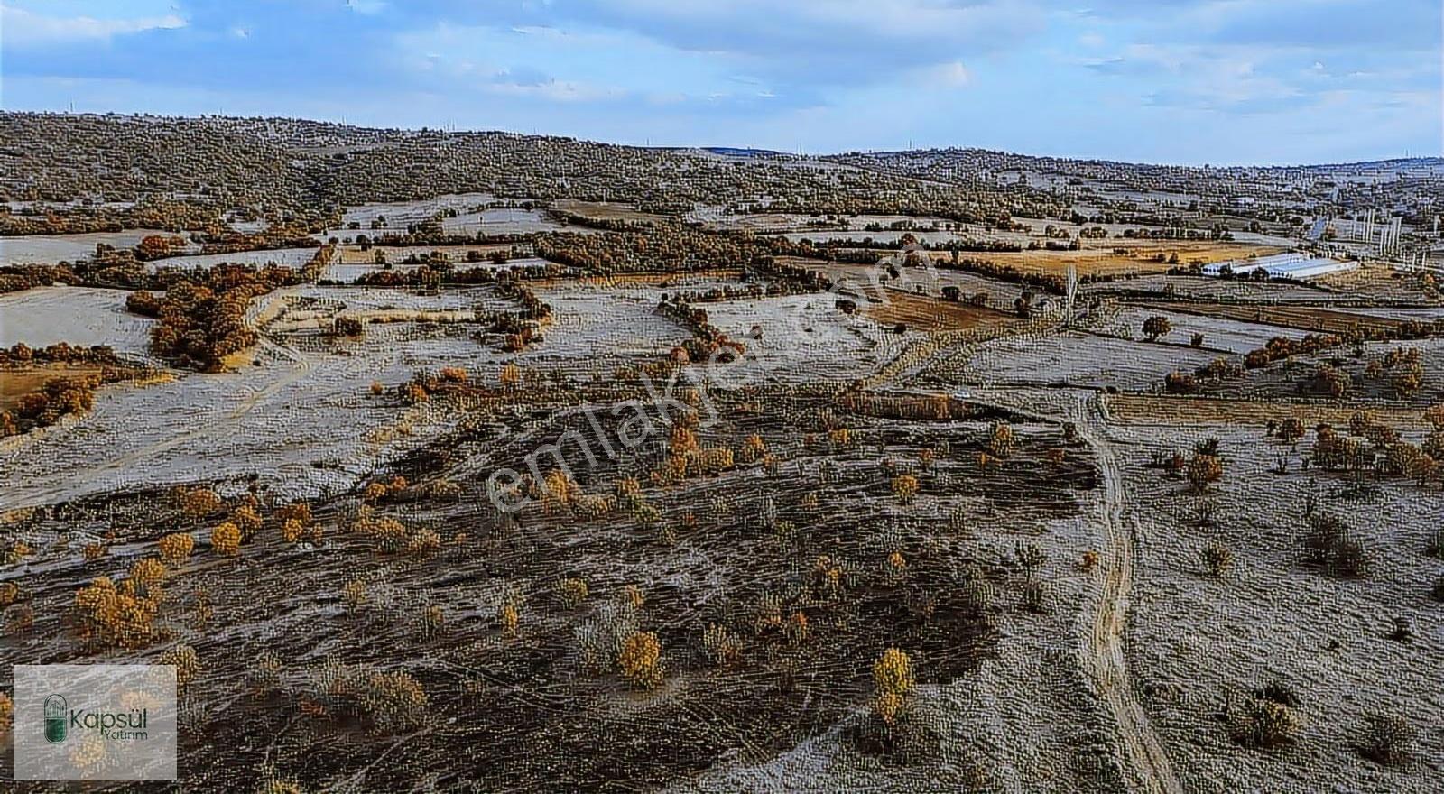 Uşak / Eşme / Dereköy Mahallesinde 2.400 M² Hisseli Tarla - Görsel 10