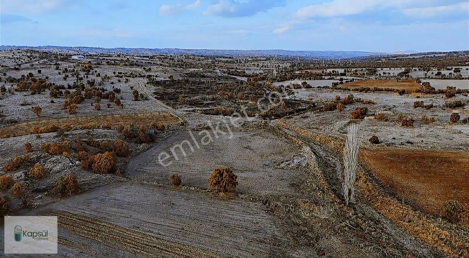 Uşak / Eşme / Dereköy Mahallesinde 2.400 M² Hisseli Tarla - Görsel 13