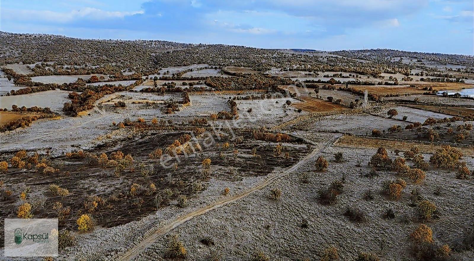 Uşak / Eşme / Dereköy Mahallesinde 2.400 M² Hisseli Tarla - Görsel 31