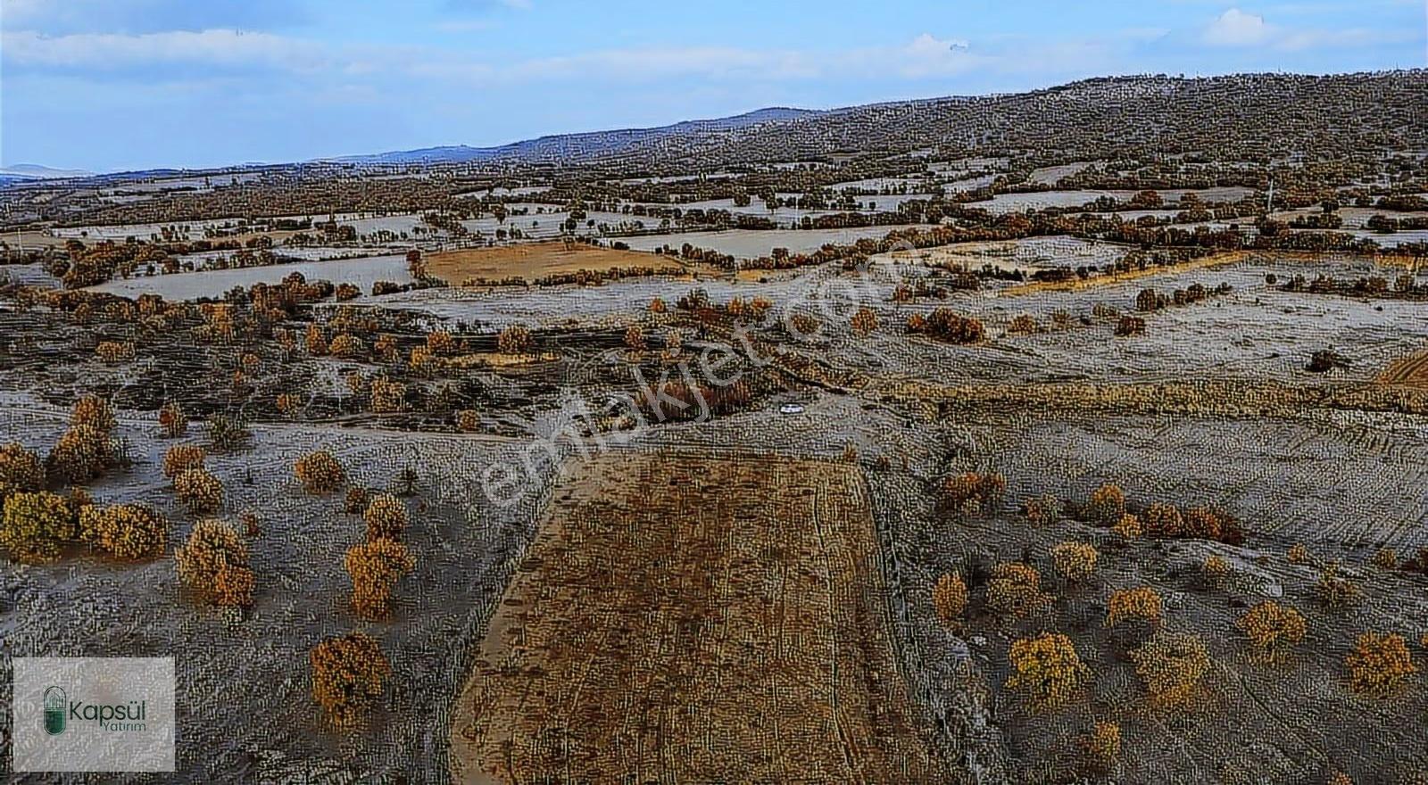 Uşak / Eşme / Dereköy Mahallesinde 2.400 M² Hisseli Tarla - Görsel 34