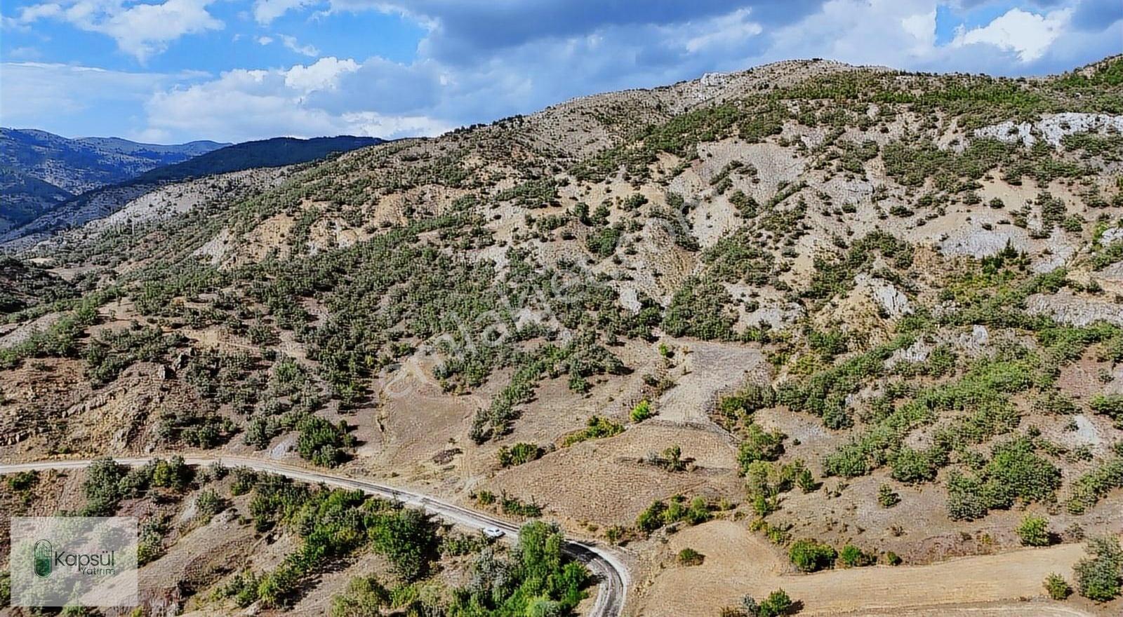 Amasya Hamamözünde Ana Yola Yakın 1574 M2 Tarla Tek Tapu - Görsel 18