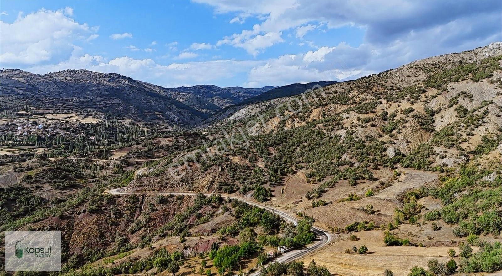 Amasya Hamamözünde Ana Yola Yakın 1574 M2 Tarla Tek Tapu - Görsel 2