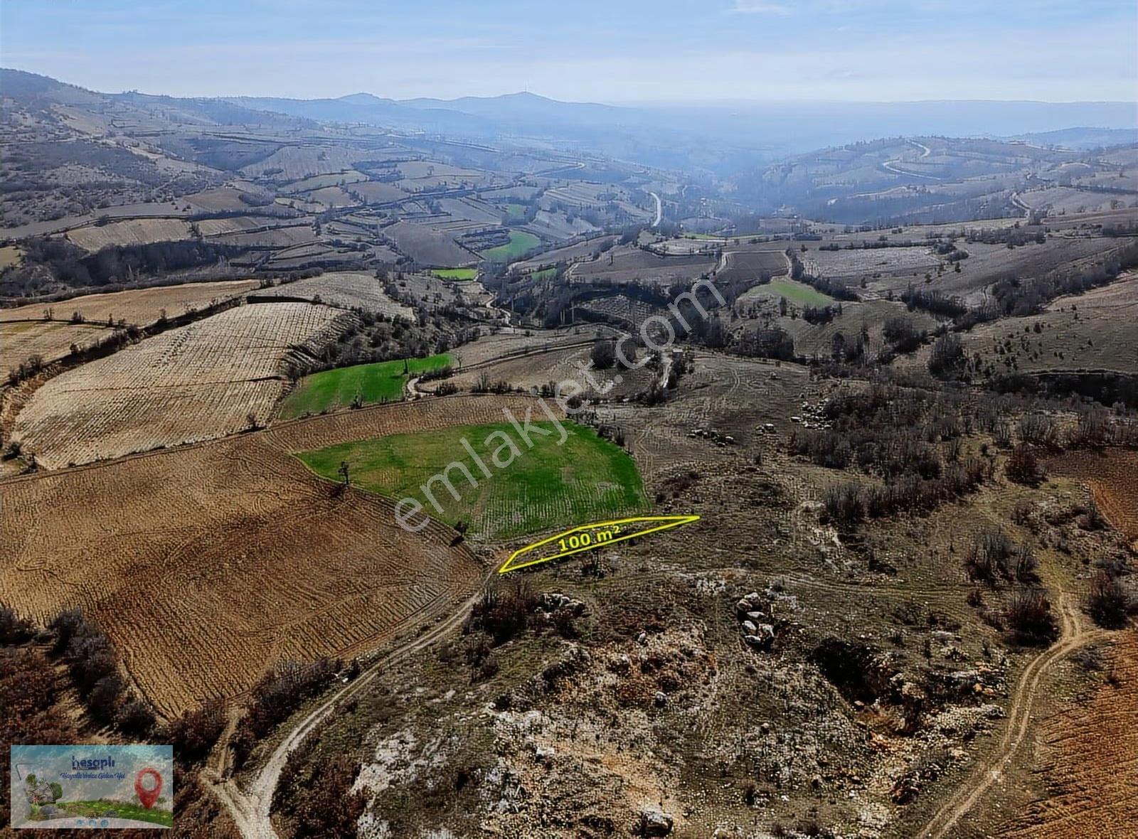 Sarıgöl Şeyhdavutlarda 100 M² Müstakil Tapulu Tarla - Görsel 7
