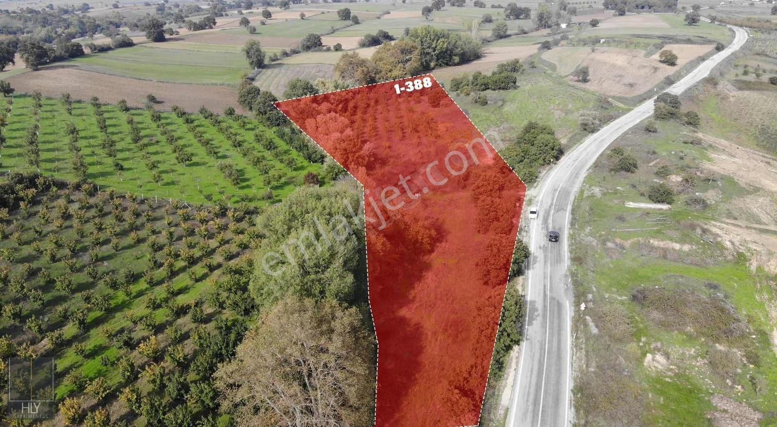 Hly'den Çaypınar Mah'de Asfalt Yola Cephe Satılık 7.300 M2 Tarla - Görsel 5