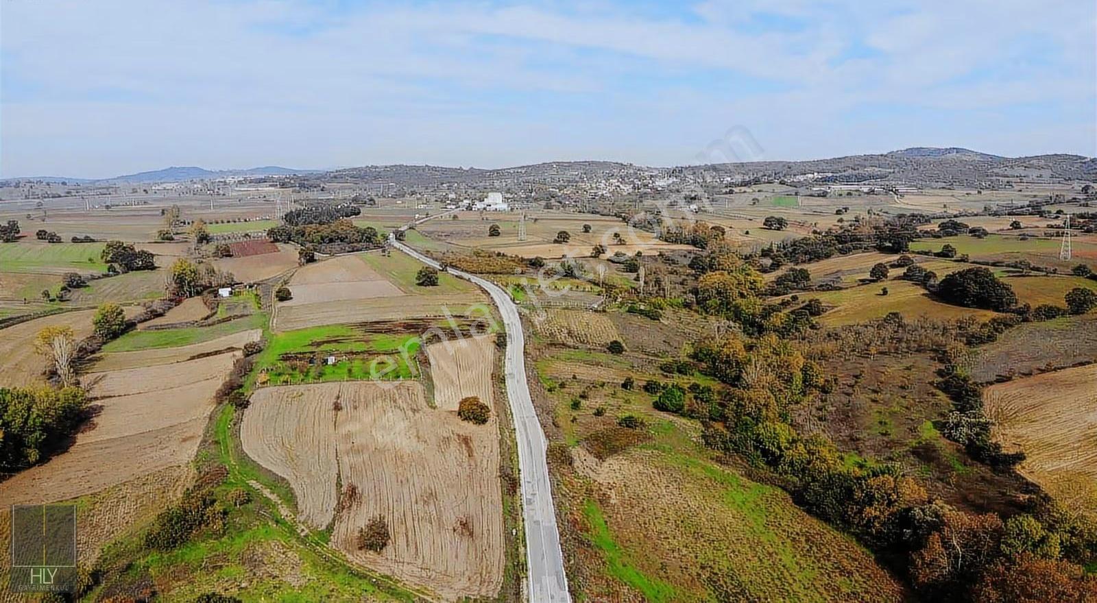 Hly'den Çaypınar Mah'de Asfalt Yola Cephe Satılık 7.300 M2 Tarla - Görsel 4