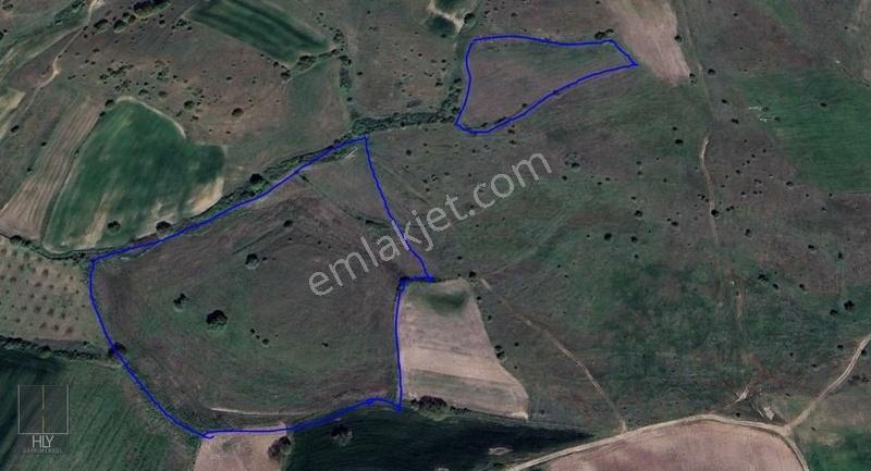 Hly Gayrimenkulden Kamçıllı Mah'de Satılık 8220 M2 Tarla - Görsel 2