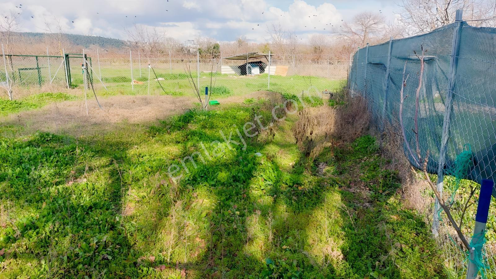 Nilüfer Kayapada Kadastro Yoluna Cephe Kiralık300m2 Hobi Bahçesi - Görsel 10