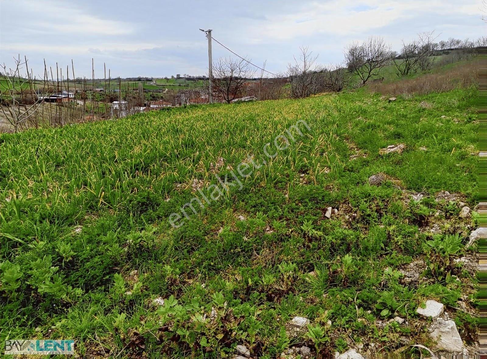 Altıeylül Merkez Cinge Mahallesinde Süper Manzaralı Satılık Arsa