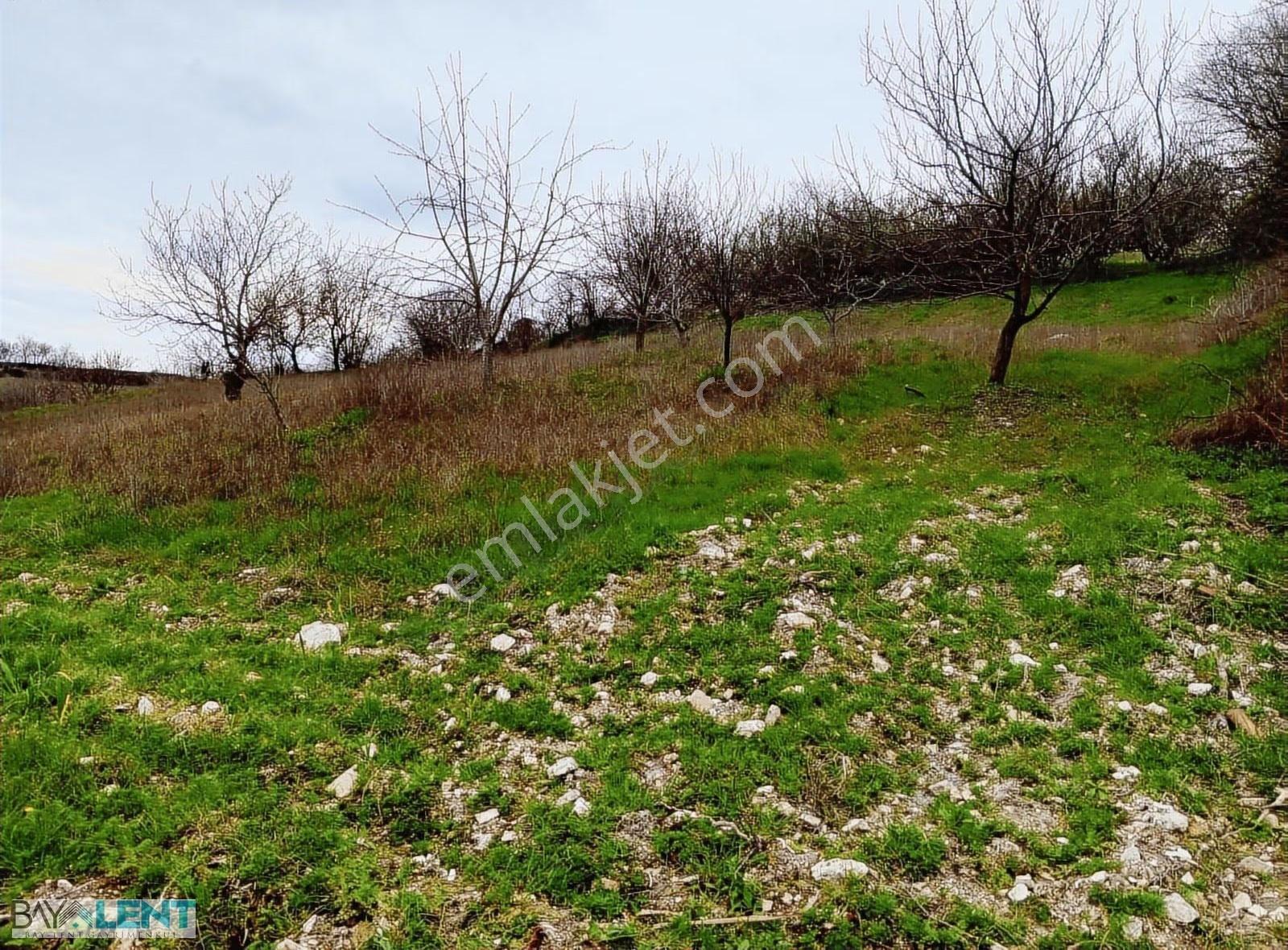 Altıeylül Merkez Cinge Mahallesinde Süper Manzaralı Satılık Arsa - Görsel 8
