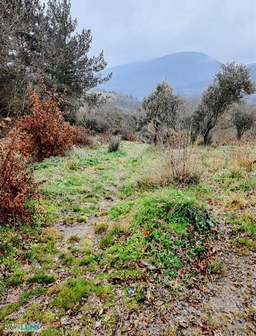 Çanakkale Yenice Karasuçam Köyünde Kaz Dağları Satılık Bahçe.
