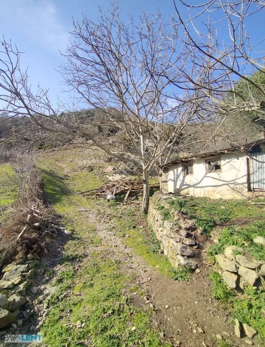 İvrindi Kışladere Köyünde İçinde Yapı Bulunan Arsamız Satılıktır - Görsel 27