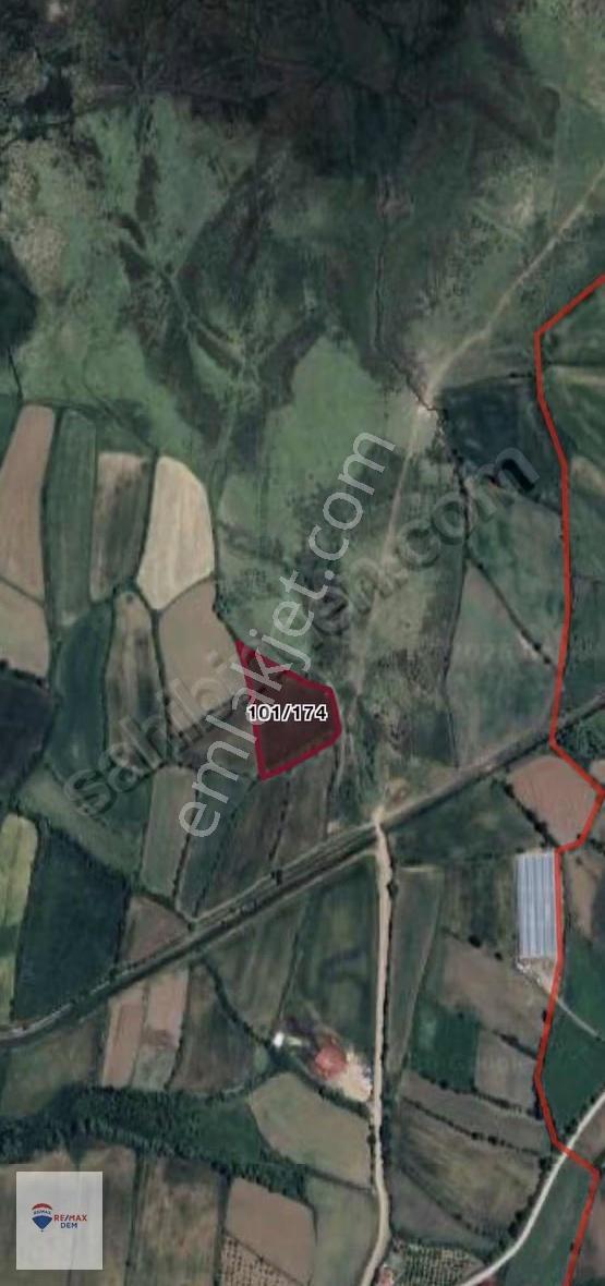 Remax Dem'den Kilimli Mevkiinde 7.098 M2 Sulu Tarla - Görsel 4
