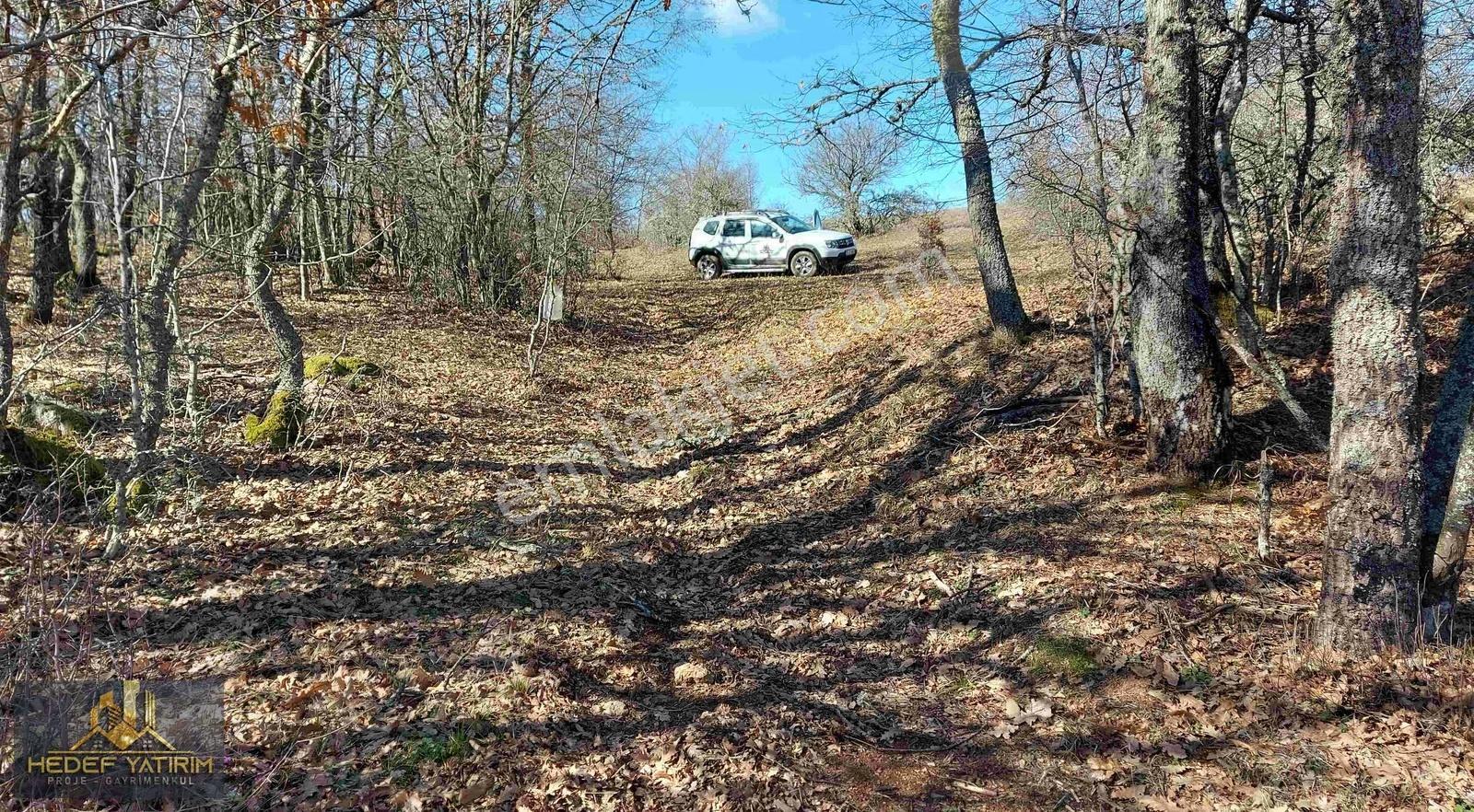 İmara Yakın Tek Tapu Arazi [ 2.762 M2 ] - Görsel 23