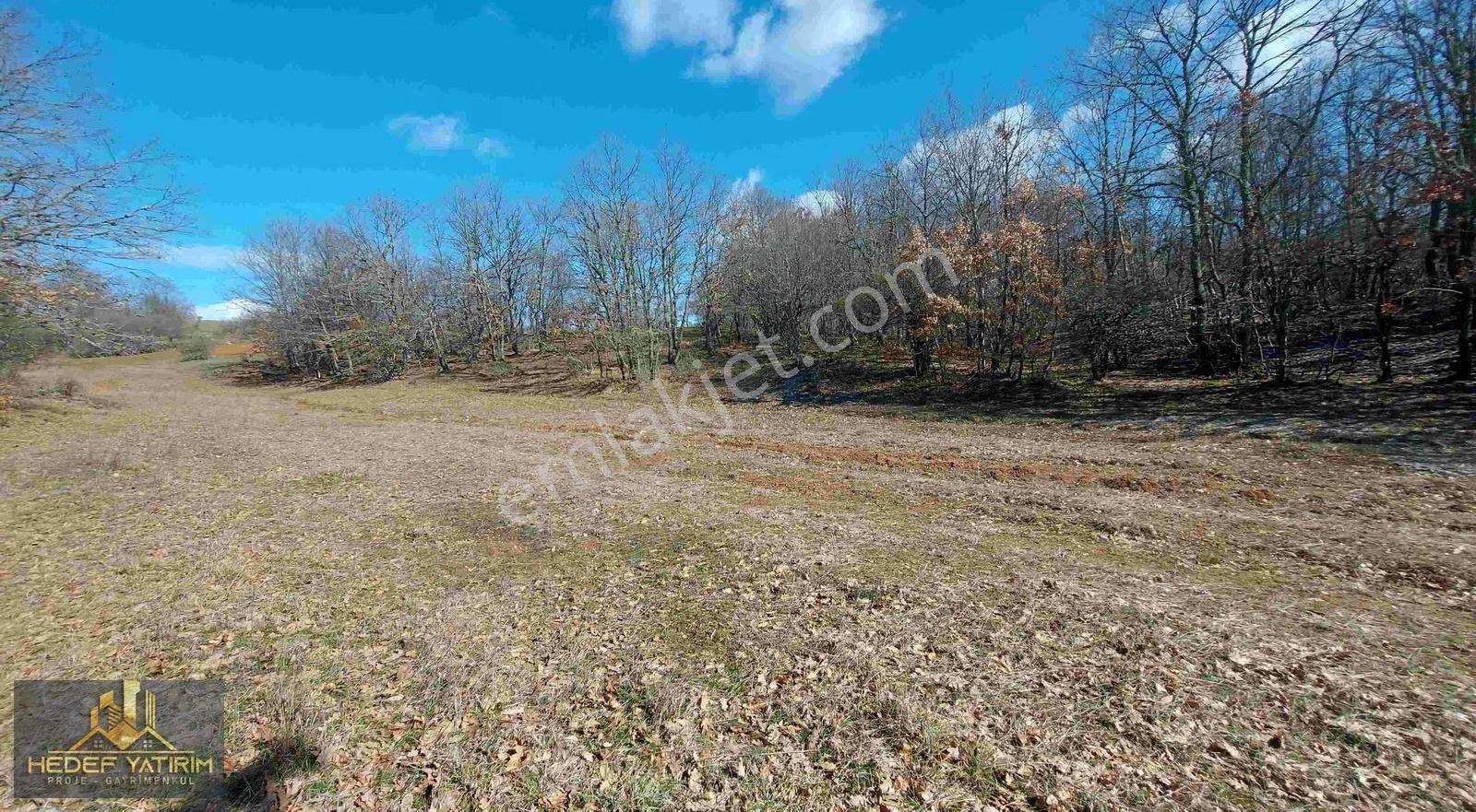 İmara Yakın Tek Tapu Arazi [ 2.762 M2 ] - Görsel 12