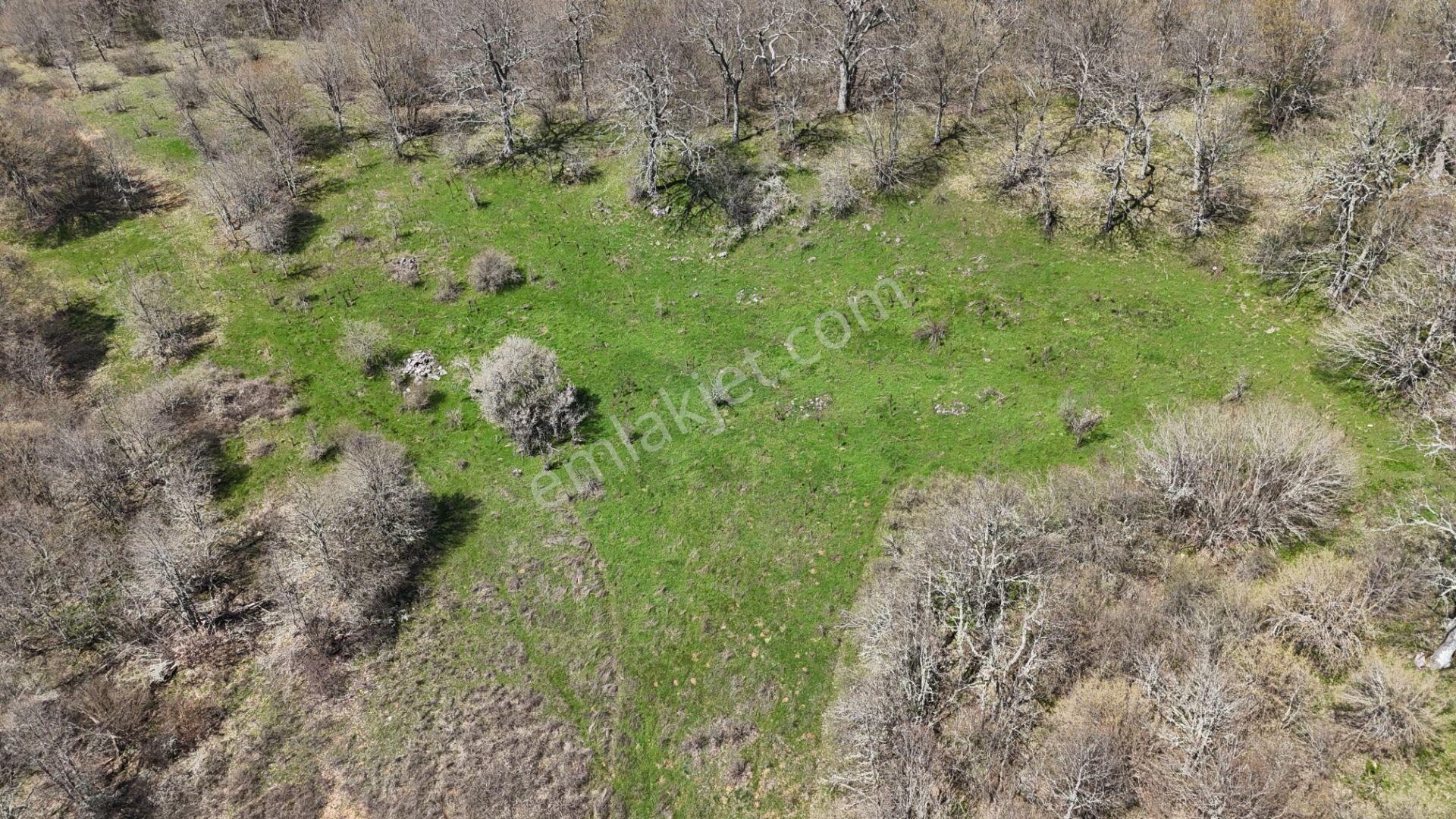 Hisseli Değil Orman İçinde Tek Tapu Arazi [ 1.886 M2 ] - Görsel 28