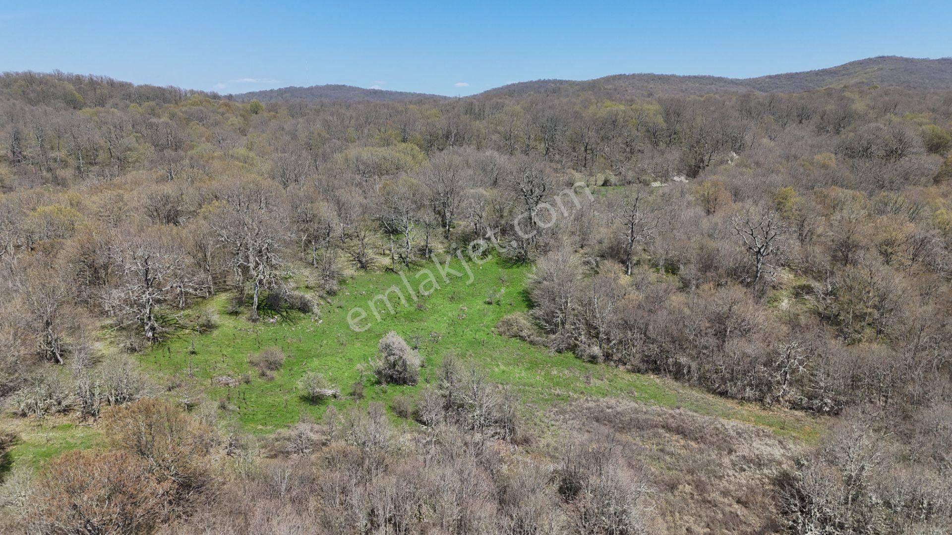 Hisseli Değil Orman İçinde Tek Tapu Arazi [ 1.886 M2 ] - Görsel 16