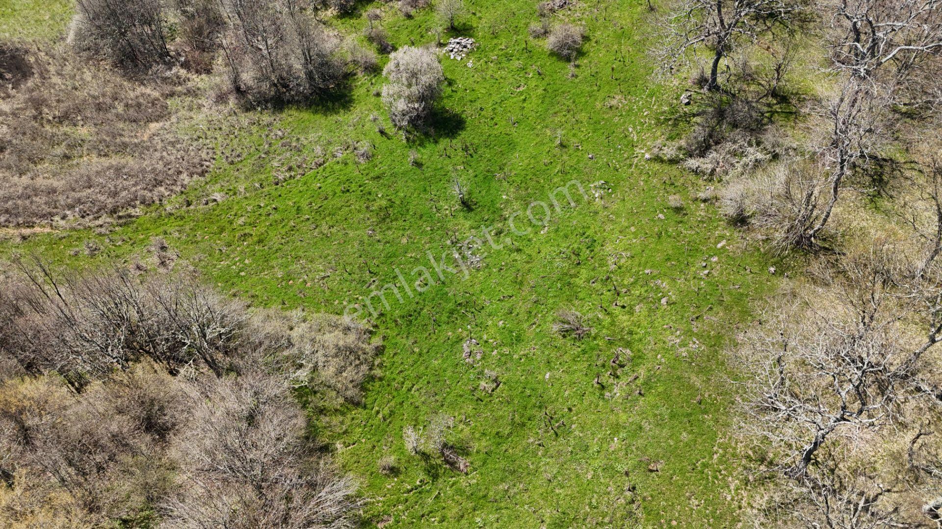 Hisseli Değil Orman İçinde Tek Tapu Arazi [ 1.886 M2 ] - Görsel 31