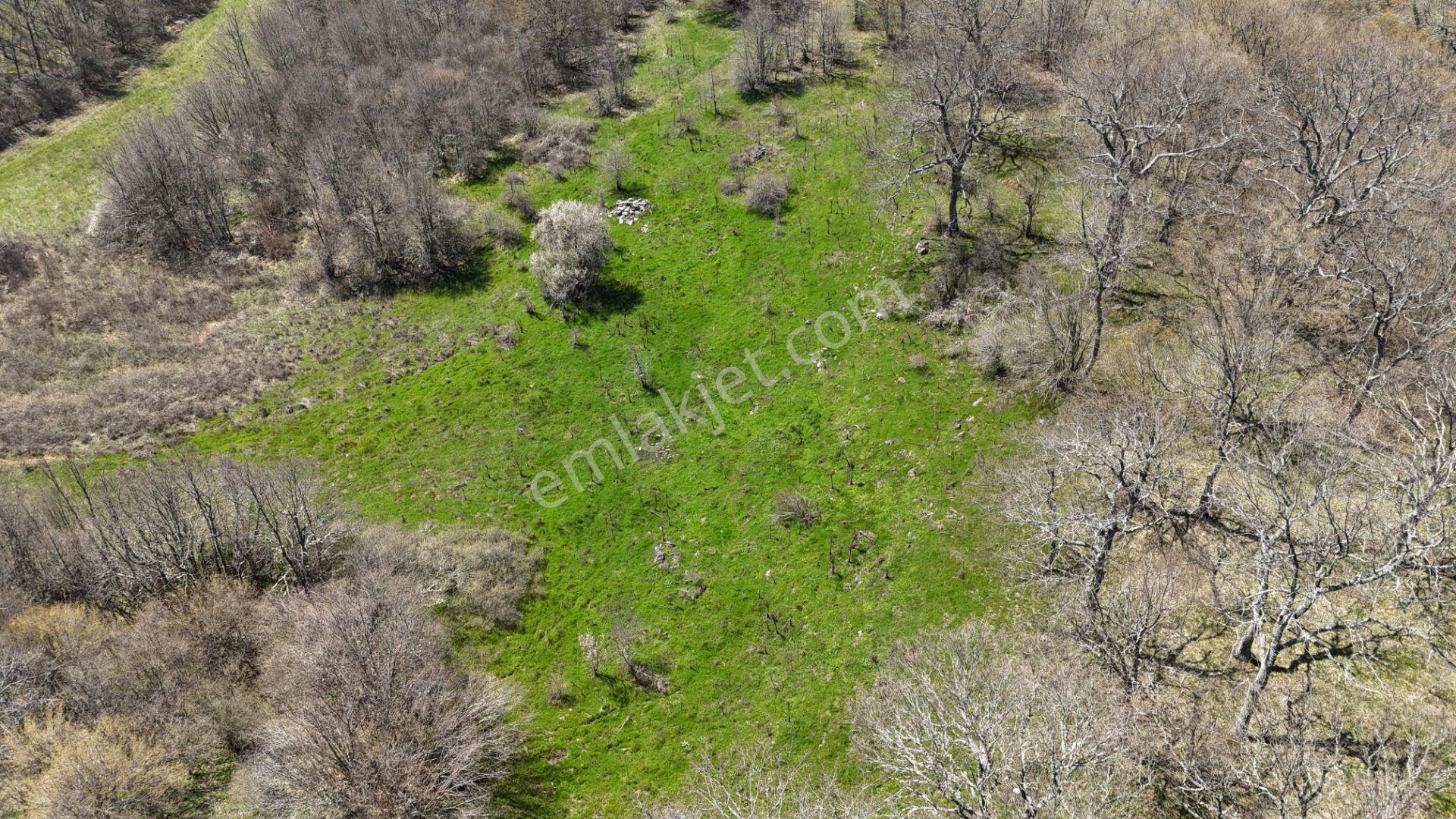 Hisseli Değil Orman İçinde Tek Tapu Arazi [ 1.886 M2 ] - Görsel 30