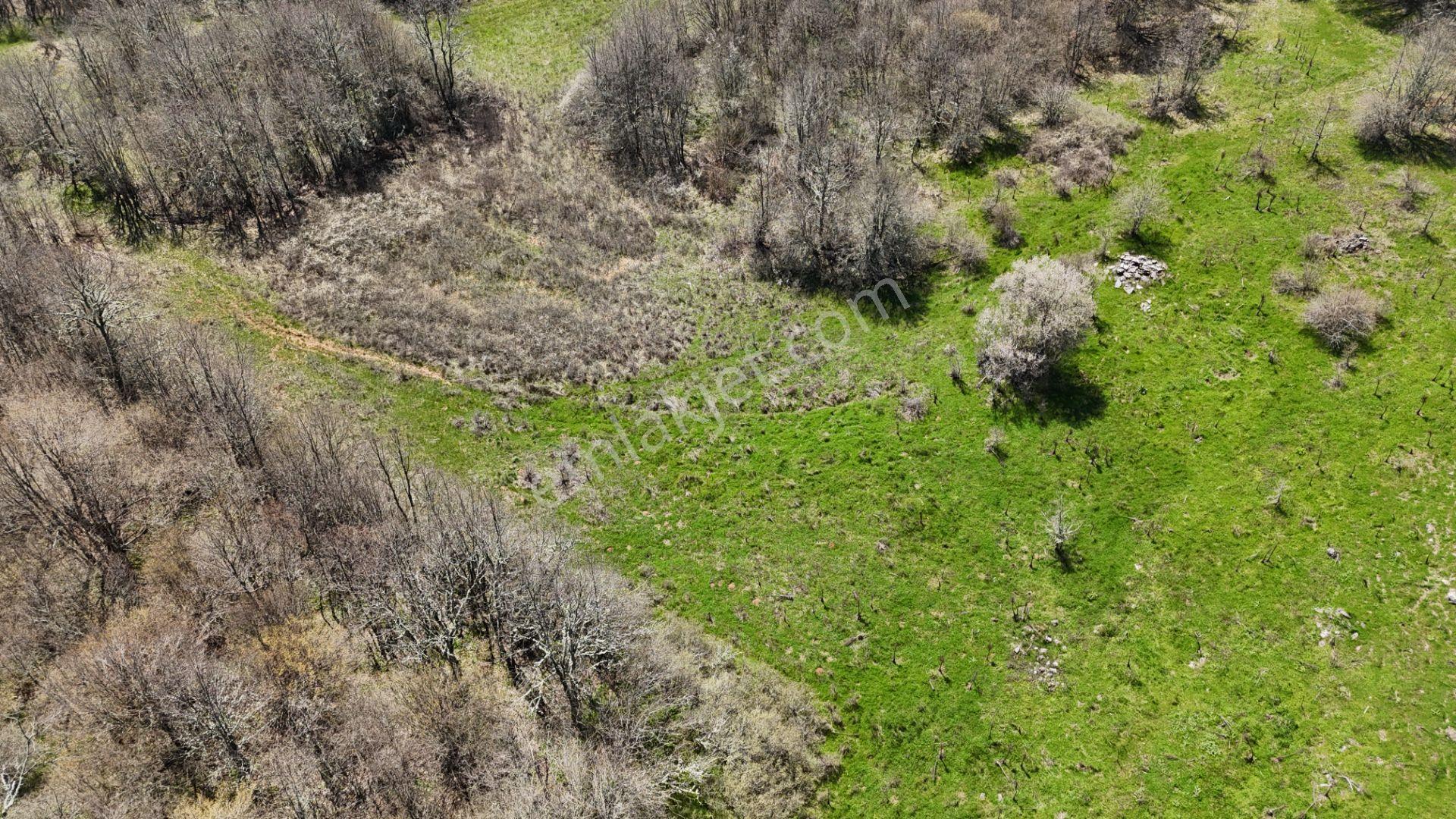 Hisseli Değil Orman İçinde Tek Tapu Arazi [ 1.886 M2 ] - Görsel 32