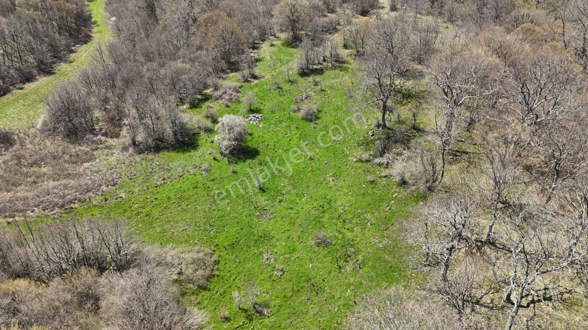 Hisseli Değil Orman İçinde Tek Tapu Arazi [ 1.886 M2 ] - Görsel 22