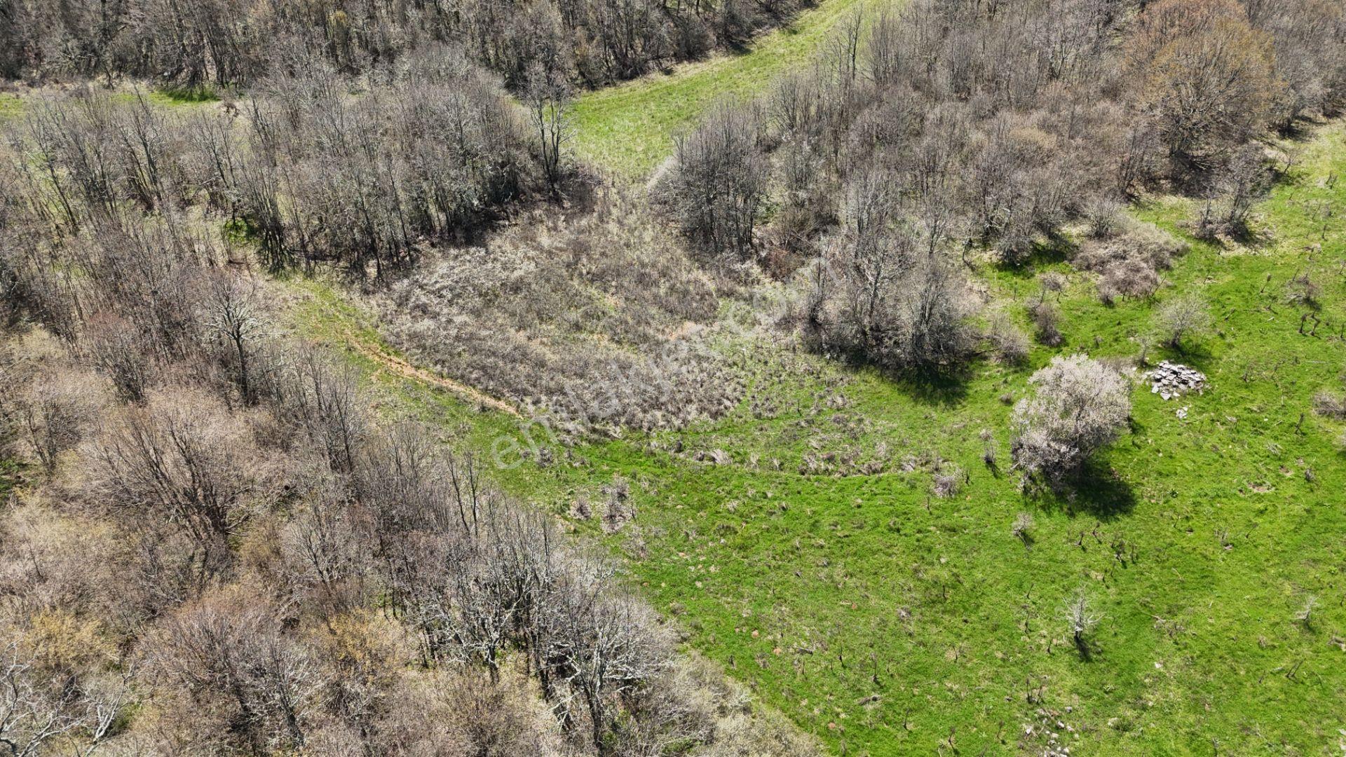 Hisseli Değil Orman İçinde Tek Tapu Arazi [ 1.886 M2 ] - Görsel 33