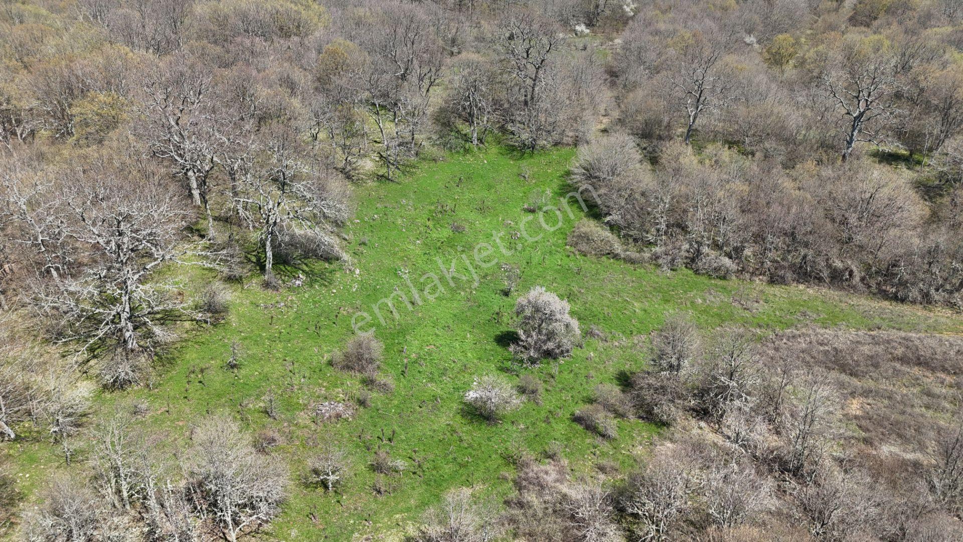 Hisseli Değil Orman İçinde Tek Tapu Arazi [ 1.886 M2 ] - Görsel 14