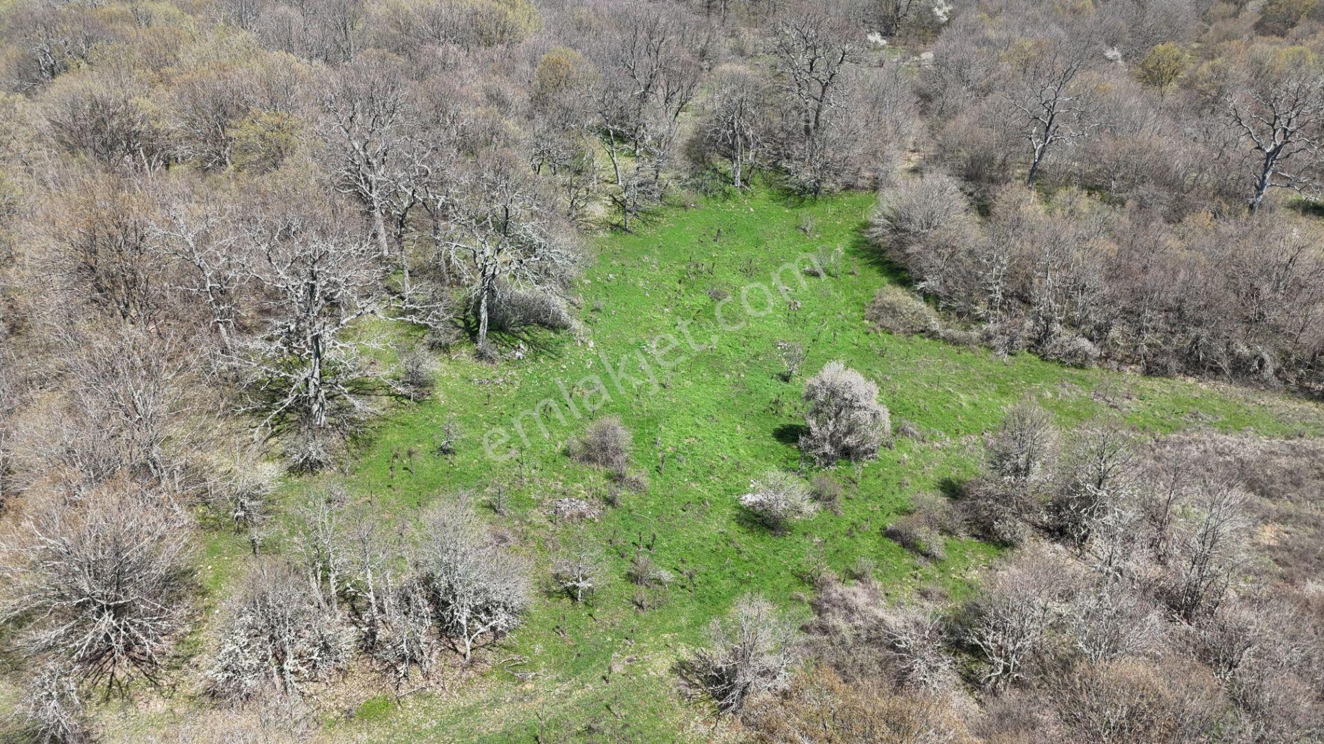 Hisseli Değil Orman İçinde Tek Tapu Arazi [ 1.886 M2 ] - Görsel 17