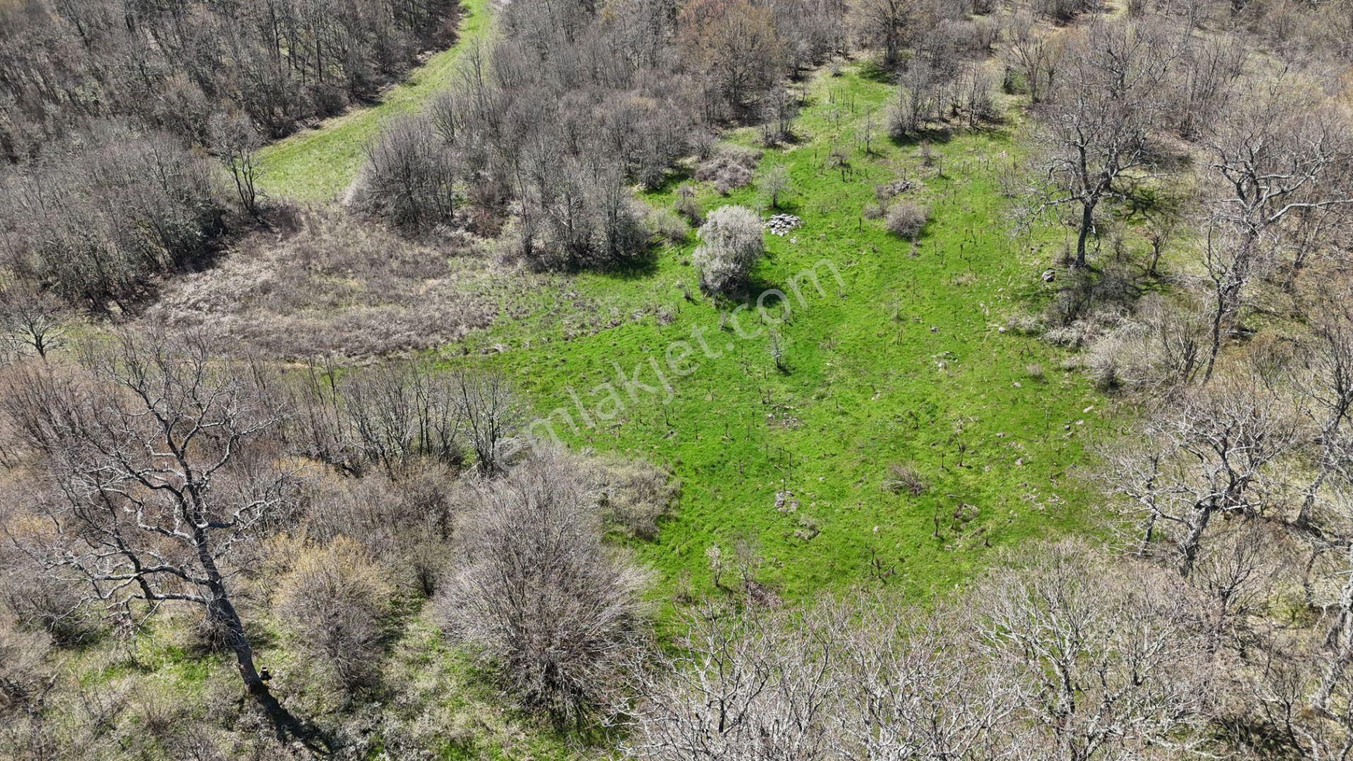 Hisseli Değil Orman İçinde Tek Tapu Arazi [ 1.886 M2 ] - Görsel 19